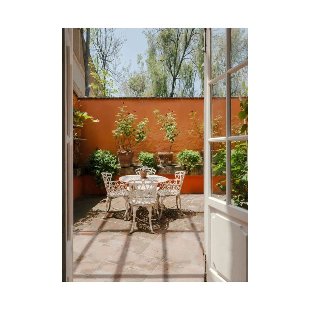 Airbnbさんのインスタグラム写真 - (AirbnbInstagram)「Werner’s sunny garden villa brings you to the San Ángel neighborhood of CDMX. Walk from his private room along idyllic cobblestone streets to its historic center and famous markets.」5月9日 0時42分 - airbnb