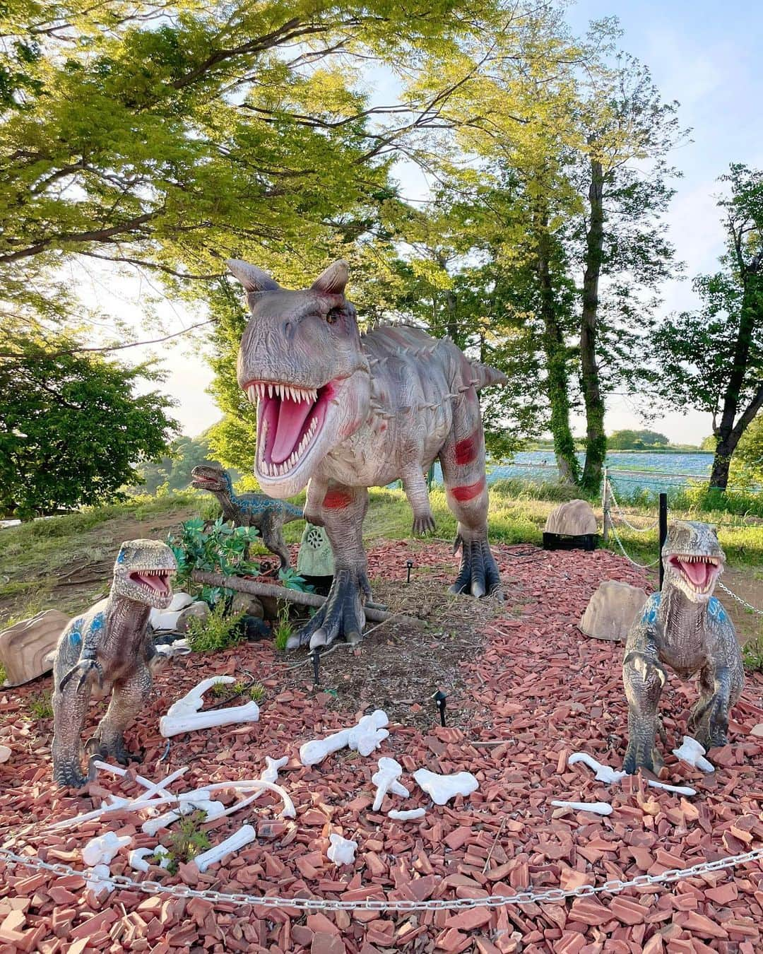 田中碧さんのインスタグラム写真 - (田中碧Instagram)「【🦖】 ⁡ 私のペットですが何か？ ⁡ ⁡ #東京ドイツ村 #ドイツ村 #ペット #恐竜 #ティラノサウルス #やぎ #田中碧 #tyrannosaurus #🦖 #🐐」5月12日 18時00分 - aoi.tanaka.0523