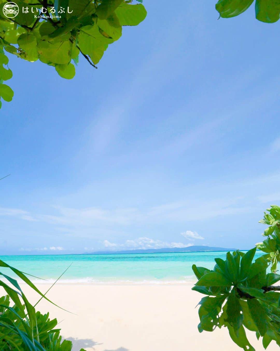 HAIMURUBUSHI はいむるぶしのインスタグラム：「小浜島・はいむるぶしから癒しの景色をお届けします。 亜熱帯のジャングルを抜けると真っ青な海… 白い砂浜に打ち寄せる小波の音色と爽やかな海風が心地よい気分にさせてくれます。 #沖縄 #八重山諸島 #旅行 #離島 #砂浜 #海 #波 #景色 #小浜島 #リゾート #ホテル #はいむるぶし  #japan #okinawa #island #beach #sea #wave #beautiful #scenery #travel #resort #hotel #haimurubushi」