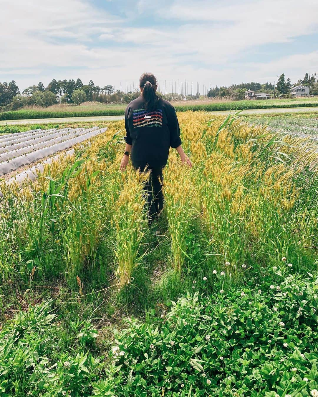 軍地彩弓のインスタグラム：「みんなで収穫 土に触れてFarm 体験。  ありがとうございます。 酒巻さん、高山さん ありがとうございます！  感謝。 しかし、風強かった…  @tampopo_land  #farming #畑仕事」