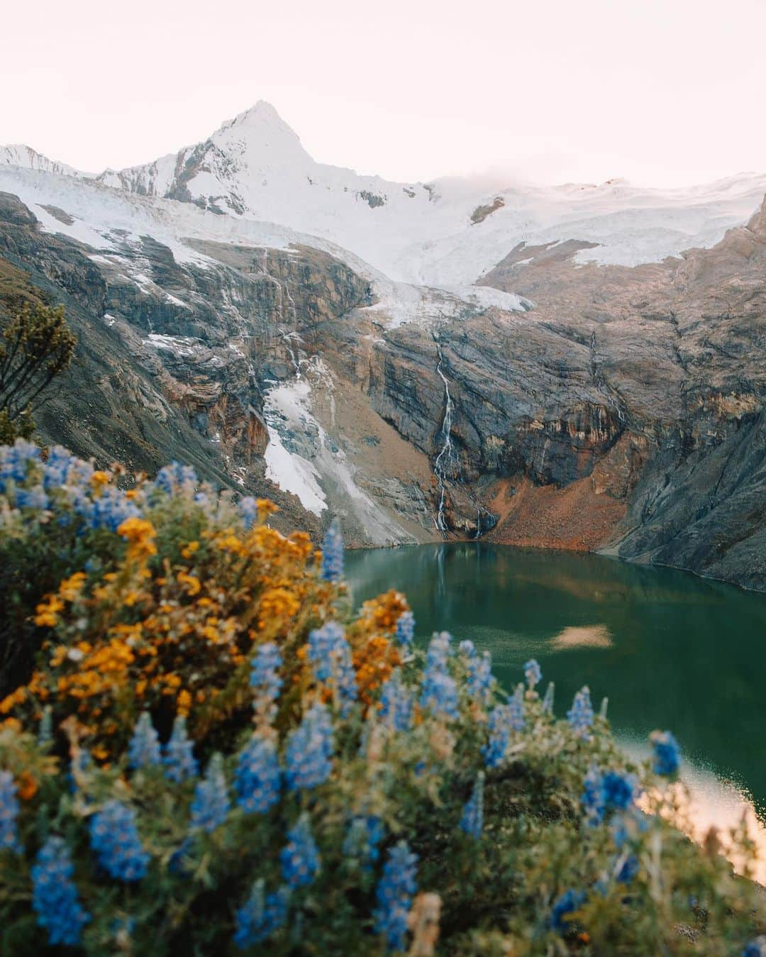 Alex Strohlさんのインスタグラム写真 - (Alex StrohlInstagram)「Continuing my series of foregrounds of the Andes in the Cordillera Huayhuash.. The last frame is actually my favorite. That was the view from camp that morning. It was one of those hazy sunrises with diffused light everywhere and the whole area was bursting with wildflowers from the recent rains.」5月9日 2時10分 - alexstrohl