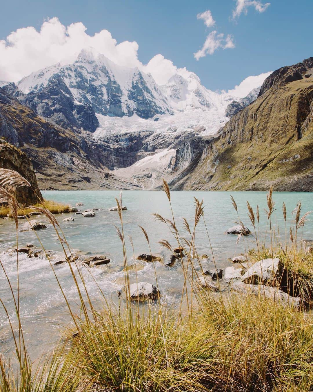 Alex Strohlさんのインスタグラム写真 - (Alex StrohlInstagram)「Continuing my series of foregrounds of the Andes in the Cordillera Huayhuash.. The last frame is actually my favorite. That was the view from camp that morning. It was one of those hazy sunrises with diffused light everywhere and the whole area was bursting with wildflowers from the recent rains.」5月9日 2時10分 - alexstrohl