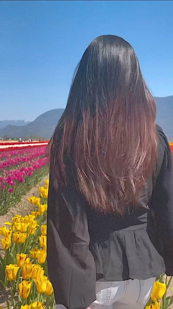 MayaTのインスタグラム：「The smell of spring brings me back when I was a child☺️   I grew up in a countryside in Japan where the rice fields & farms are around the house. I left home to see the other side of the world when I was in my early 20’s without speaking English well. I knew I needed to do it anyways and I’m so glad that I did. I met so many people, learned a lot and made so many memories :)   After all that, as I get older I started missing where I’m from. I’m grateful that I have a place I can always go back, and can’t wait to be there again soon💕」