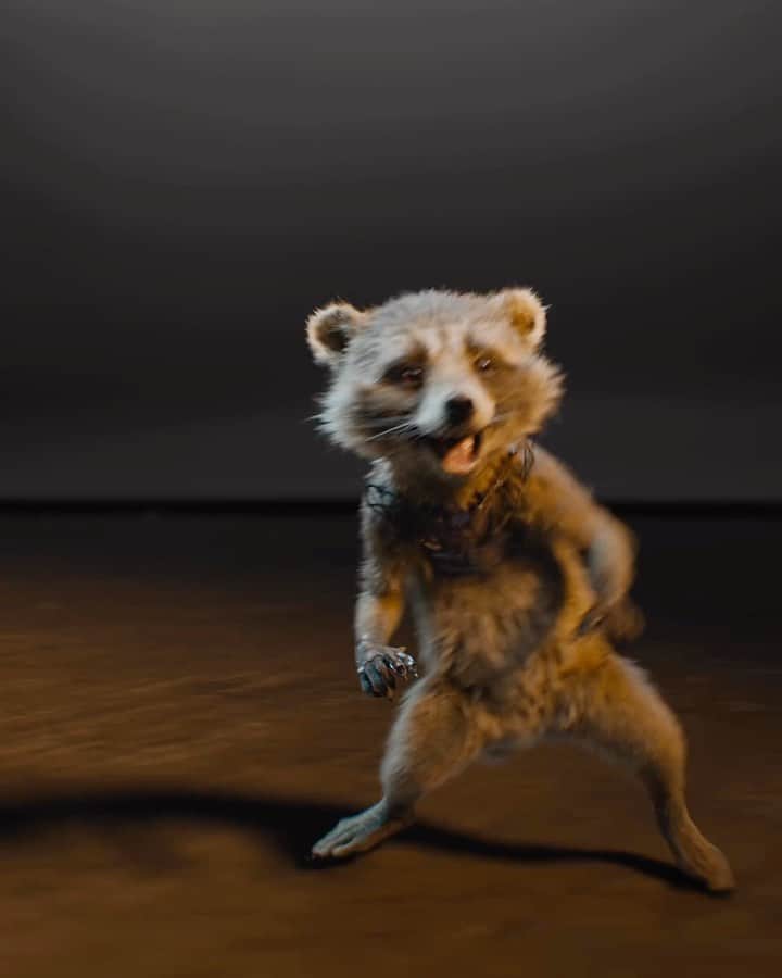 ジェームズ・ガンのインスタグラム：「Mondays are made for #GuardiansoftheGalaxyVol3. #GotGVol3 (test footage by @framestore)」