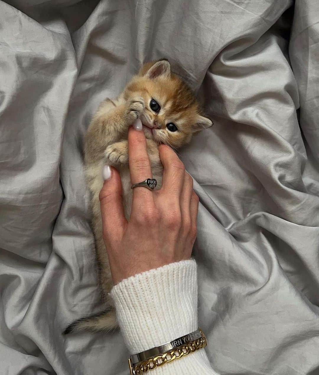のインスタグラム：「Sweet dreams everyone 🫶🏼💤」