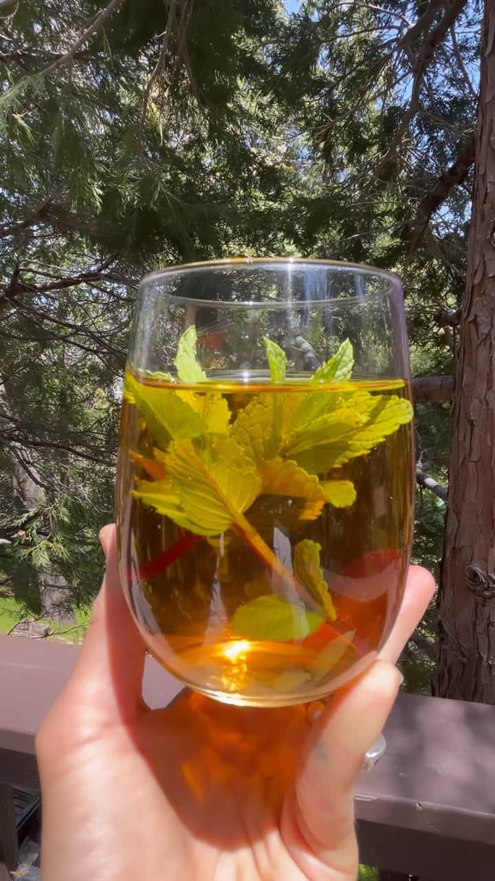 glorianotoのインスタグラム：「Its spring on the mountain finally … pulled up all the overgrown weeds to find the mint taking over 🍃 this is the season that reminds me how special having a home up here is / @the_geneva_aframe」