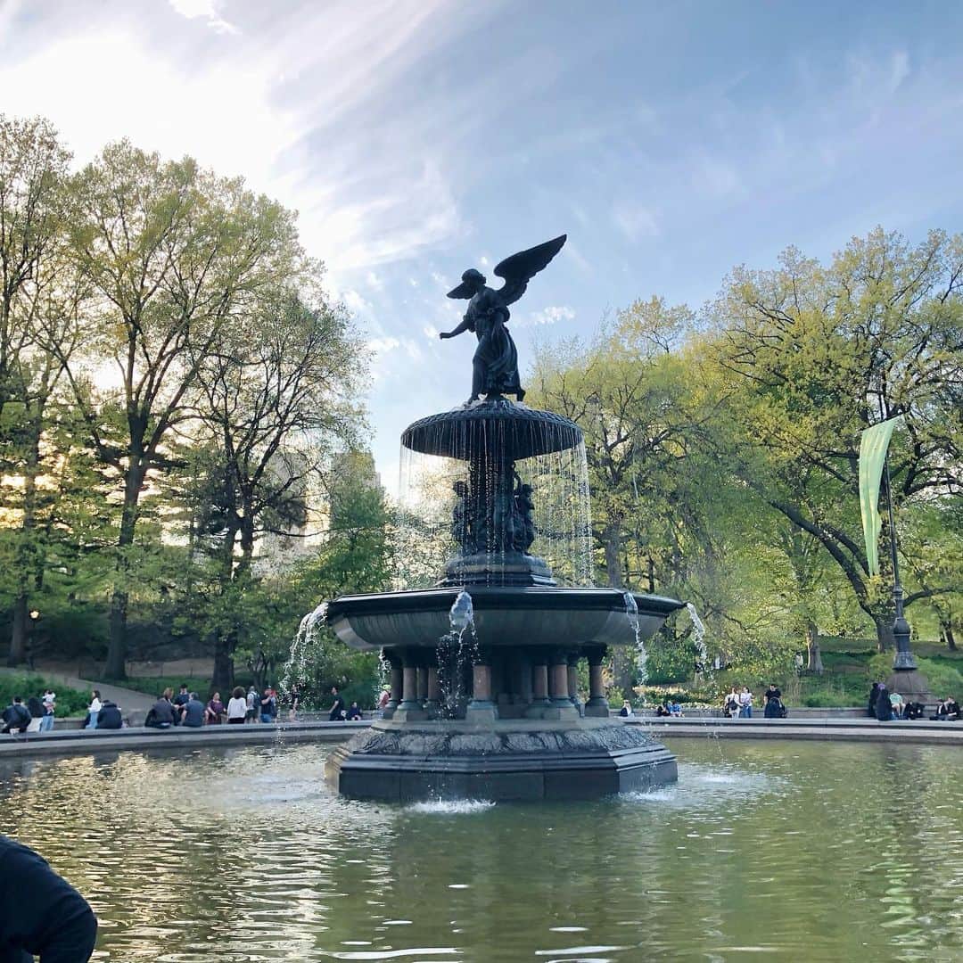 岡田育のインスタグラム：「Ohanami : An annual event that modest Japanese turn into crazy Dionysian under the cherry blossoms in full bloom. No photo allowed (actually I forgot to take). #centralpark #セントラルパーク #ohanami #お花見 喋るのに夢中で全然写真撮ってなかったお花見の日。誰に会って何したとかは日記に書きました。」