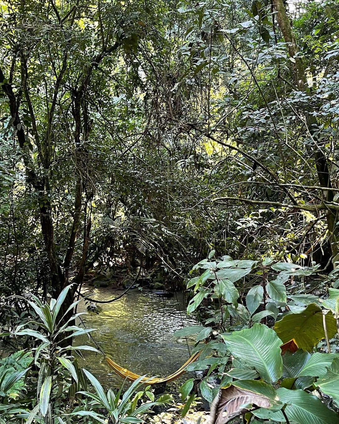 ガブリエル・メディーナさんのインスタグラム写真 - (ガブリエル・メディーナInstagram)「Charging / Recarregando 🌿🌳🍃🌊 #waterfall」5月9日 6時16分 - gabrielmedina