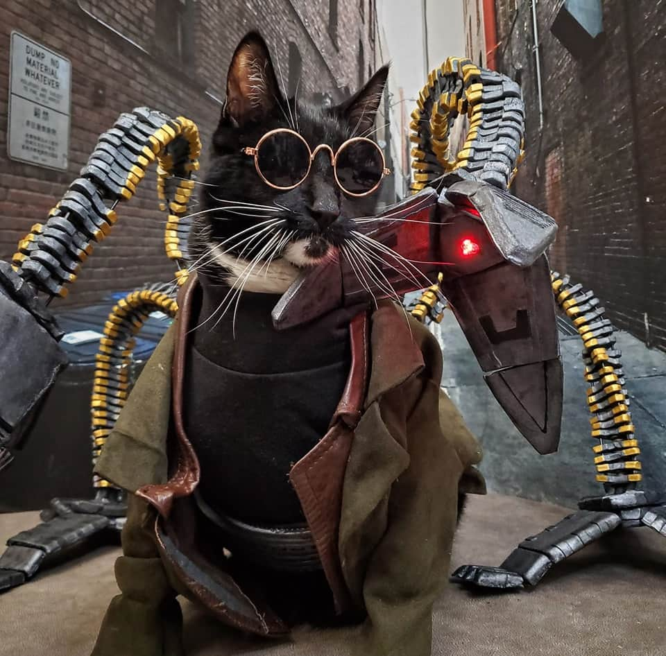 猫コスプレさんのインスタグラム写真 - (猫コスプレInstagram)「"That's Right... The Real Crime Would Be Not To Finish What We Started." ~Doctor Catto Octavius  #doctoroctopus #docock #doctorottooctavius #spiderman  . . . . . #docockcosplay #doctoroctopuscosplay #catcosplay #cosplay #cosplayer #cat #catcostume #catsinclothes #petclothes #PetCostume #petarmor #mcu #marvel #marvelcosplay #spidermanvillains #spiderverse」5月9日 6時19分 - cat_cosplay