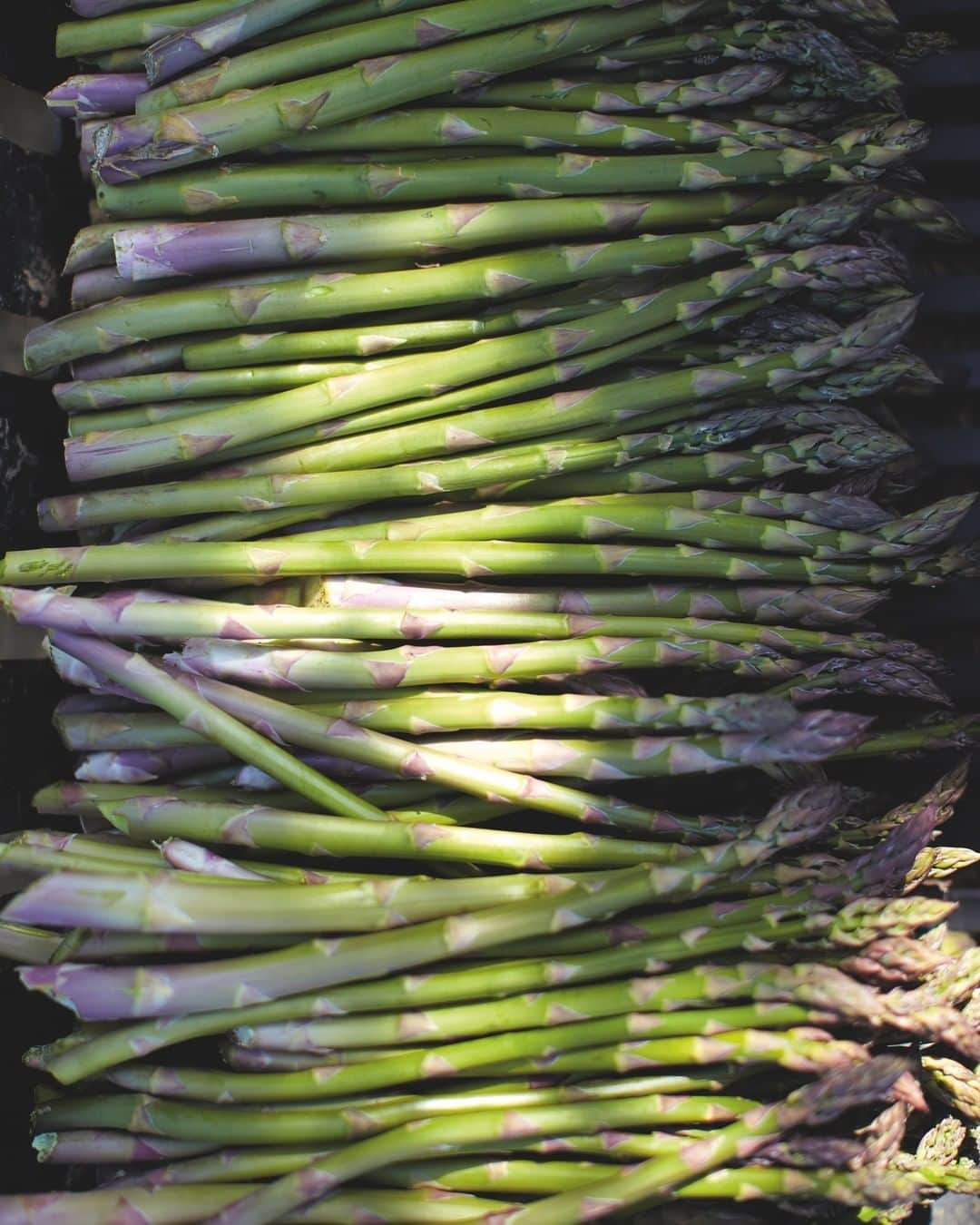 ジェイミー・オリヴァーのインスタグラム：「You can't beat asparagus when it comes into season, and from now onwards is the time when you'll start to see it pop up in the shops. It's really makes you feel like we're finally in spring now doesn't it! And if you're looking for delicious recipe inspiration to use it, head to my website jamieoliver.com where I have all these recipes and more for free!! From quiches, to salads, to pastas and more...so so good. What's your favourite way to cook with asparagus??  #asparagus #inseason #spring」