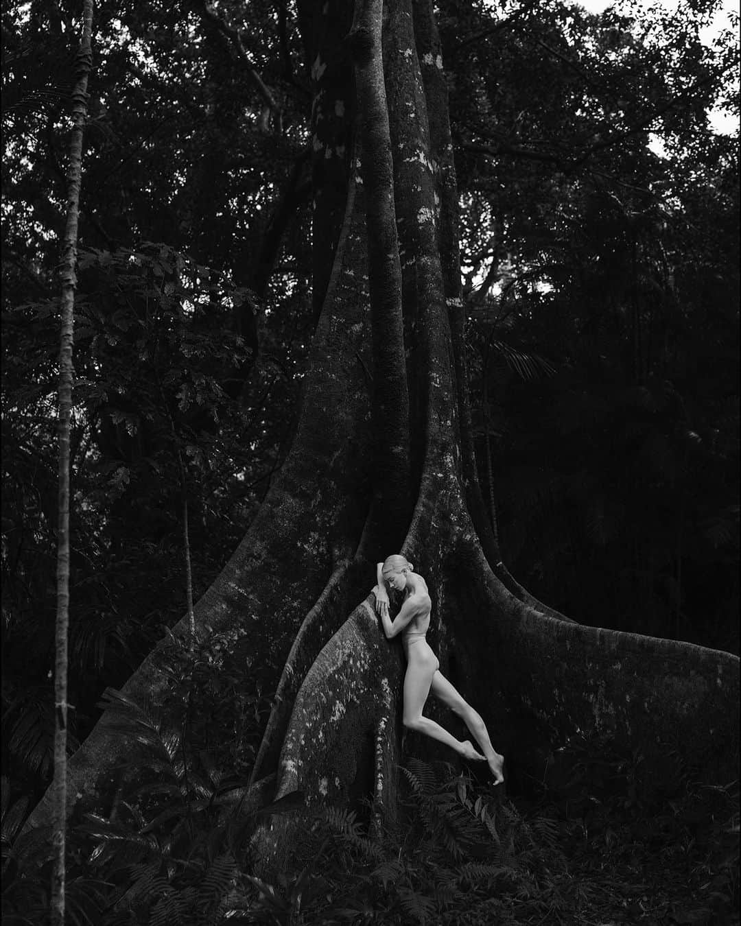 ballerina projectさんのインスタグラム写真 - (ballerina projectInstagram)「𝐌𝐢𝐤𝐚𝐞𝐥𝐚 𝐊𝐞𝐥𝐥𝐲 at the Lyon Arboretum on the island of Oahu. 🌳  @mikaelakelly__ #mikaelakelly #ballerinaproject #lyonarboretum #manoa #oahu #hawaii @wolford #wolford #hosiery   Ballerina Project 𝗹𝗮𝗿𝗴𝗲 𝗳𝗼𝗿𝗺𝗮𝘁 𝗹𝗶𝗺𝗶𝘁𝗲𝗱 𝗲𝗱𝘁𝗶𝗼𝗻 𝗽𝗿𝗶𝗻𝘁𝘀 and 𝗜𝗻𝘀𝘁𝗮𝘅 𝗰𝗼𝗹𝗹𝗲𝗰𝘁𝗶𝗼𝗻𝘀 on sale in our Etsy store. Link is located in our bio.  𝙎𝙪𝙗𝙨𝙘𝙧𝙞𝙗𝙚 to the 𝐁𝐚𝐥𝐥𝐞𝐫𝐢𝐧𝐚 𝐏𝐫𝐨𝐣𝐞𝐜𝐭 on Instagram to have access to exclusive and never seen before content. 🩰」4月24日 21時55分 - ballerinaproject_