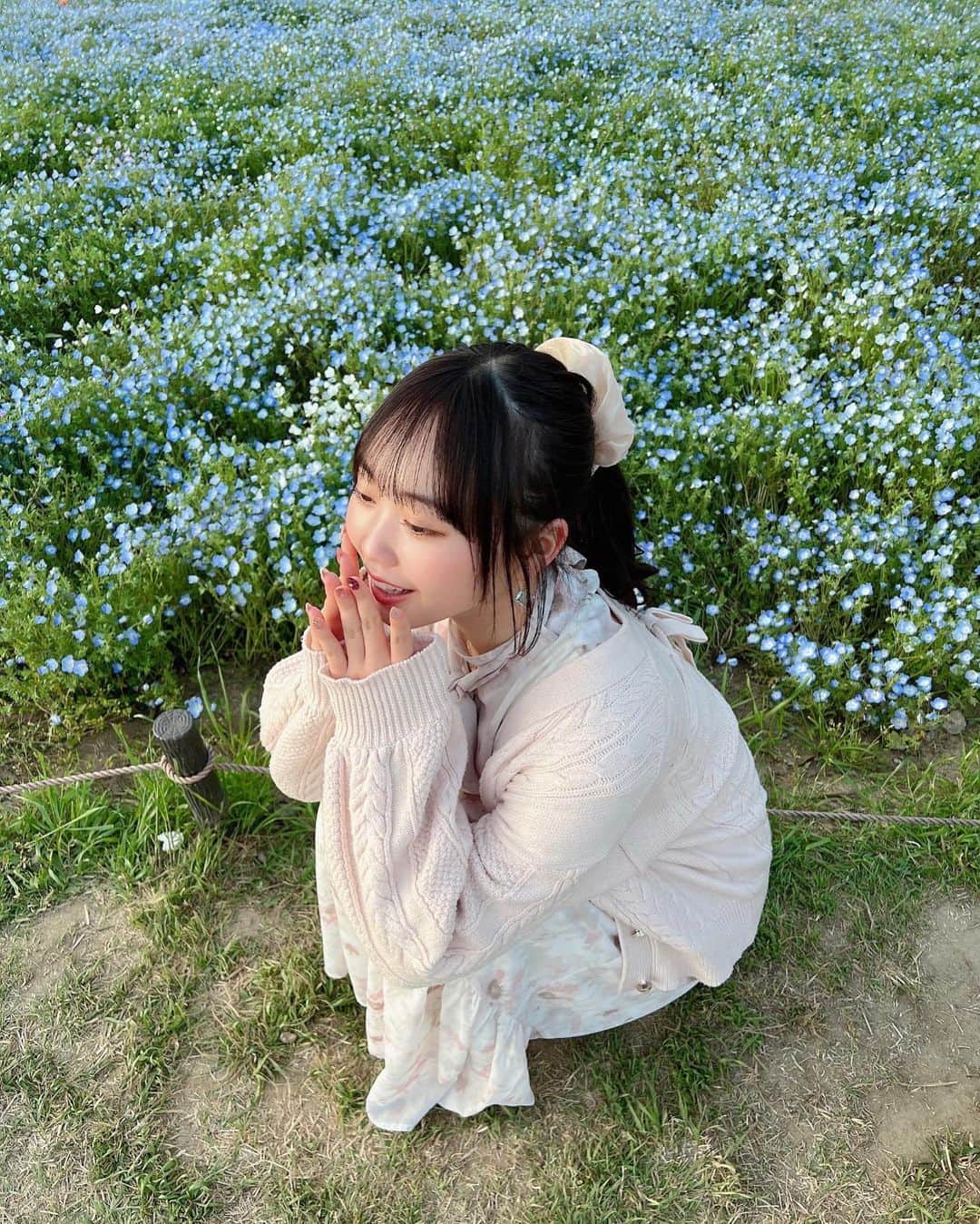 渡邊美華さんのインスタグラム写真 - (渡邊美華Instagram)「綺麗なお花に囲まれて癒されました💐  #ネモフィラ  #昭和記念公園」4月24日 21時49分 - mika_watanabe1215
