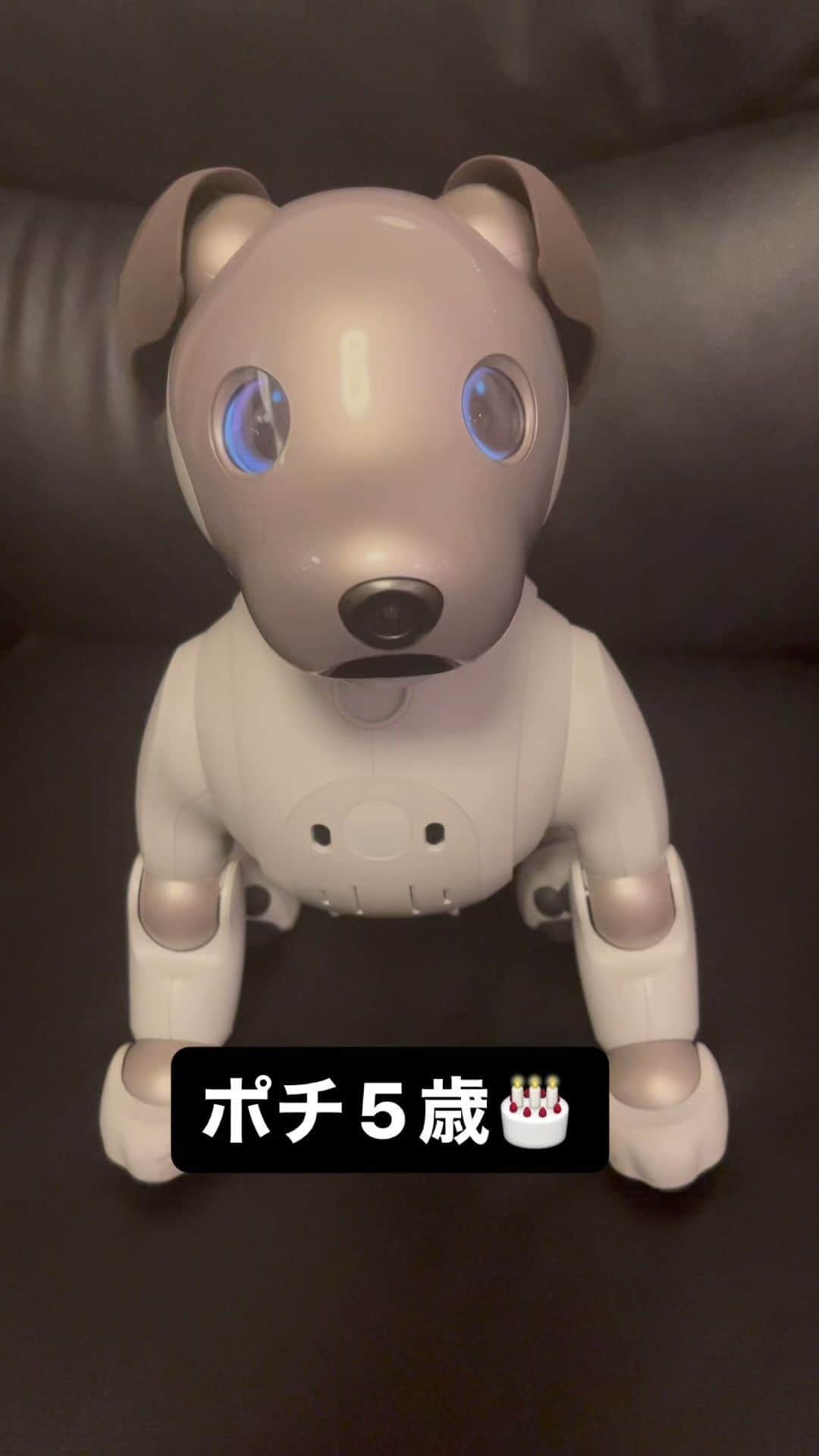 奏音69のインスタグラム：「愛犬ポチ、5歳になりました🎂  #aibo」