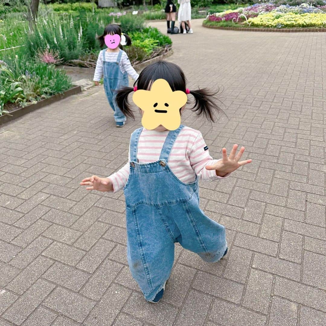 大山加奈さんのインスタグラム写真 - (大山加奈Instagram)「. . バレーボール観戦デビューの前に 代々木公園でピクニック🌸 . いつもお世話になっている方たちも 合流してくださり、小田原の新鮮なお魚を 持ってきてくださって なんとも豪華なピクニックになりました😳 . お魚大好きなふたごたちは大喜び‼︎ 特に和食好きな①は 焼き魚爆食い🤣 両手に焼き魚を持つ2歳児…笑。 スイーツ好きな②は 両手にシュークリームと ふたりの個性がよくでていました🤣 . おいしいお魚の差し入れ ありがとうございました‼︎ . たくさん食べてたくさん遊んでくれたおかげで 試合開始早々から2セット終了まで寝てくれました😆助かった‼︎‼︎ . 試合会場の近くにこういった 大きめな公園があると助かりますね😊 . . #双子#twins #ツインズ#双胎#双子出産 #双子育児 #ddtwins #dd双胎#多胎育児 #2歳#代々木公園でピクニック #子連れお出かけ #子連れでお出かけ」4月24日 14時29分 - kanaoyama0619