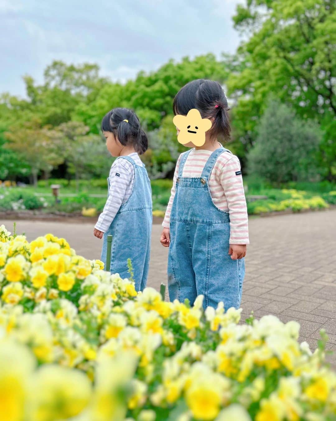 のインスタグラム：「. . バレーボール観戦デビューの前に 代々木公園でピクニック🌸 . いつもお世話になっている方たちも 合流してくださり、小田原の新鮮なお魚を 持ってきてくださって なんとも豪華なピクニックになりました😳 . お魚大好きなふたごたちは大喜び‼︎ 特に和食好きな①は 焼き魚爆食い🤣 両手に焼き魚を持つ2歳児…笑。 スイーツ好きな②は 両手にシュークリームと ふたりの個性がよくでていました🤣 . おいしいお魚の差し入れ ありがとうございました‼︎ . たくさん食べてたくさん遊んでくれたおかげで 試合開始早々から2セット終了まで寝てくれました😆助かった‼︎‼︎ . 試合会場の近くにこういった 大きめな公園があると助かりますね😊 . . #双子#twins #ツインズ#双胎#双子出産 #双子育児 #ddtwins #dd双胎#多胎育児 #2歳#代々木公園でピクニック #子連れお出かけ #子連れでお出かけ」