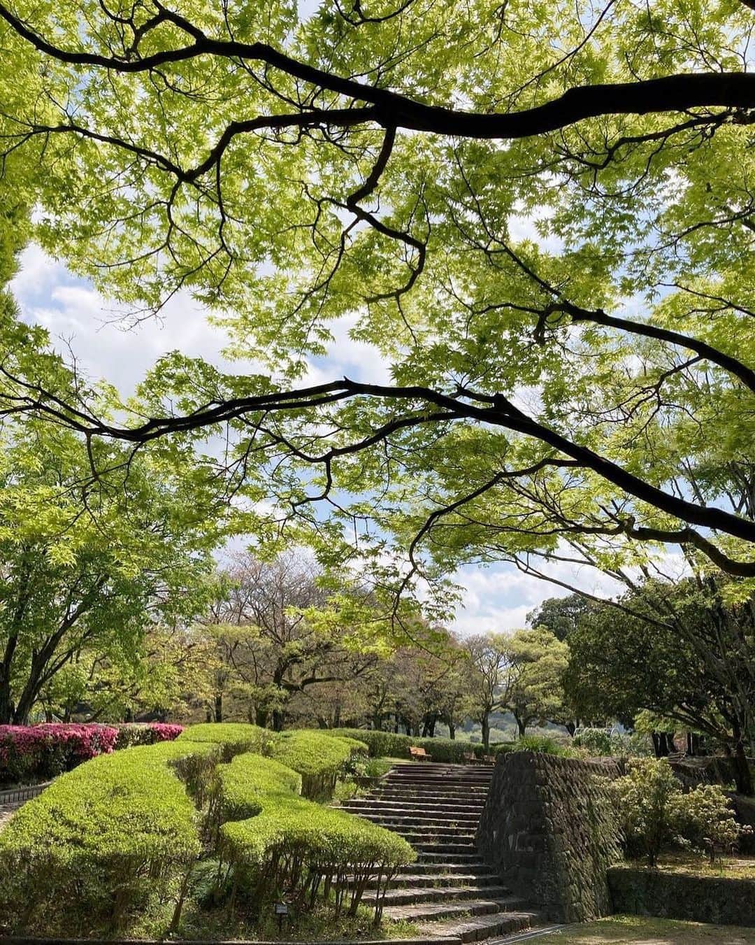 福岡市のインスタグラム：「＜ fukuokapics4月：花畑園芸公園＞ 花畑園芸公園は、福岡市南区にある公園です。季節に合わせた花々や植物、自然の風景を堪能できることが魅力的で、四季折々の花々が見頃を迎えます。 噴水広場は、おしゃれなテーブルやイスが設置され、噴水を眺めながら癒しのひと時を過ごせます。 展望台からは、福岡タワー、ドーム、志賀島まで、福岡市を一望することができますよ。  Feel the nature of each season with beautiful blooming flowers and plants at Hanahata Horticultural Park, located in Minami ward, Fukuoka City. Relax by the Fountain Square - tables and chairs available - and don’t miss the panoramic views of Fukuoka City from the observatory where you can get spot Fukuoka Tower, the highest seaside tower of Japan, the PayPay Dome baseball stadium, and Shikanoshima Island which is connected to the mainland by a causeway.  photo by @mitsuo.kai location：花畑園芸公園 ・ hashtag : #fukuokapics follow : @fukuoka_official ・ #福岡市 #花畑園芸公園 #fukuoka #hakata #nakasu #tenjin」
