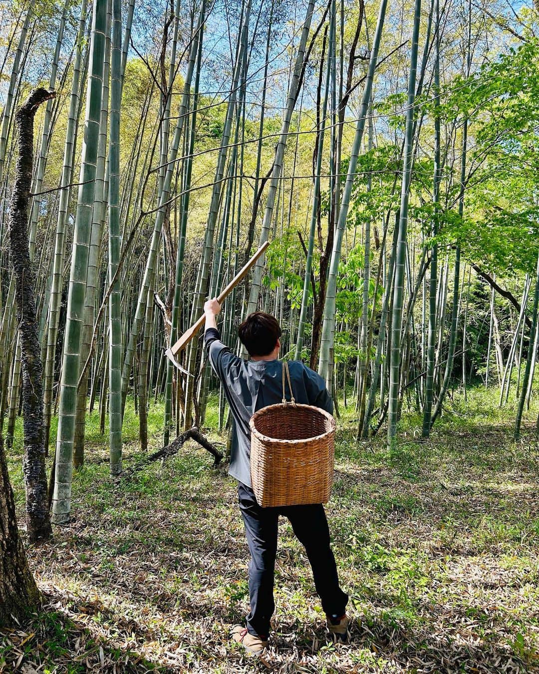 井澤惇のインスタグラム：「たけのこ&山菜掘り。  友人の所有してる敷地に自生しているたけのこと山菜掘りにいってきた。 この時期のたけのこが最高なんだ！！」