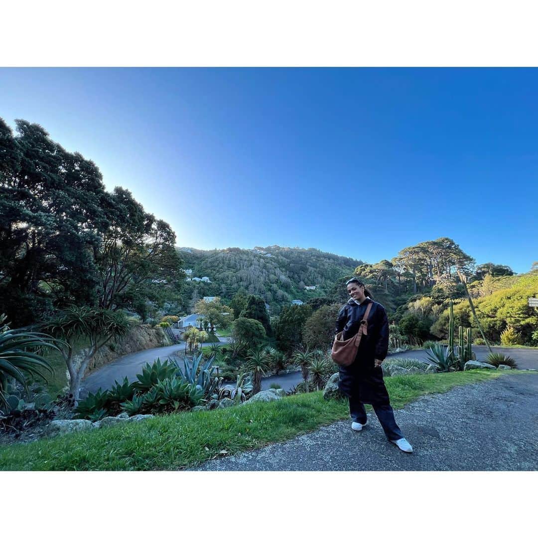 フリーマ・アジェマンさんのインスタグラム写真 - (フリーマ・アジェマンInstagram)「Today I walked. And walked.  Nature will you marry me. 🌳💚☀️ #newzealand #aotearoa #zealandia #mondaymusing」4月24日 15時21分 - freemaofficial