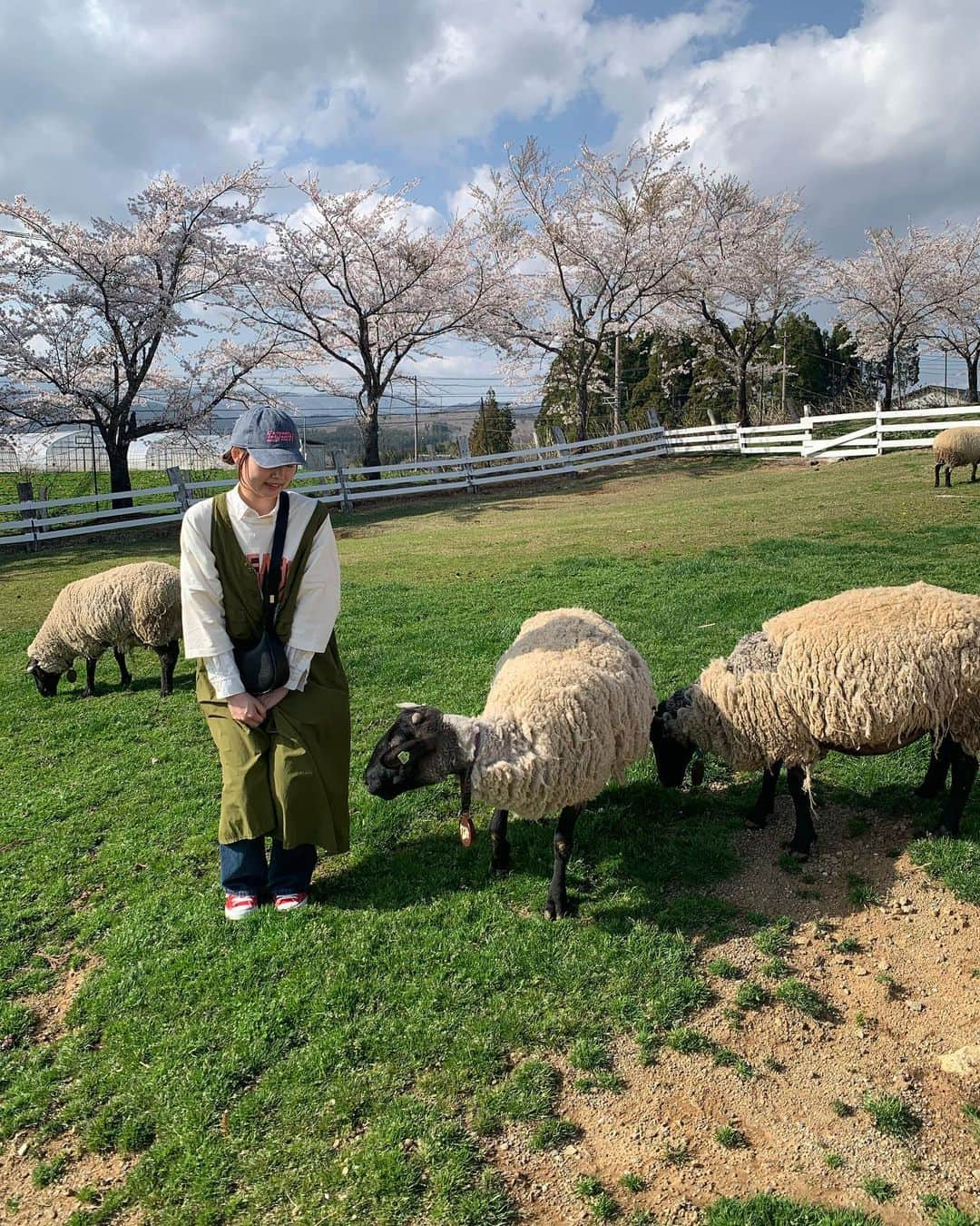 ビームス金沢さんのインスタグラム写真 - (ビームス金沢Instagram)「【staffの休日ナニシテル？🤔💭】  staffのリアルに密着！ #beams_kanazawa_staff_life_ ♡ 今回もstaffの休日をお届けします🐑  staff 📸 Matsue @c_____leo   『先日岐阜県にある牧歌の里に遊びに行きました🎶 私は動物たちが目当てで行ってきました🐑♡ どの動物たちもみんな可愛くて癒される〜😳いろんな動物と触れ合い乗馬体験までできてめちゃくちゃ楽しかったです💕 暖かくなってきたので皆さんもぜひ牧歌の里へ遊びに行ってみてください🐴🌼』  #休日の過ごし方  #牧歌の里   －－－－－－－－－－－－－－－－  🌐staff styling、Blog🌐 TOP URLからご覧ください🛩 店舗followも宜しくお願いします♬  #beams #beams_kanazawa #kanazawa #beamst #beamsf #brillaperilgusto #beamsstaffstyling #beamsplus #beamswomen #demiluxebeams #raybeams #beamsboy #beamslights #ootd #fashion #ishikawa #japan #ビームス #金沢 #ビームス金沢」4月24日 15時25分 - beams_kanazawa