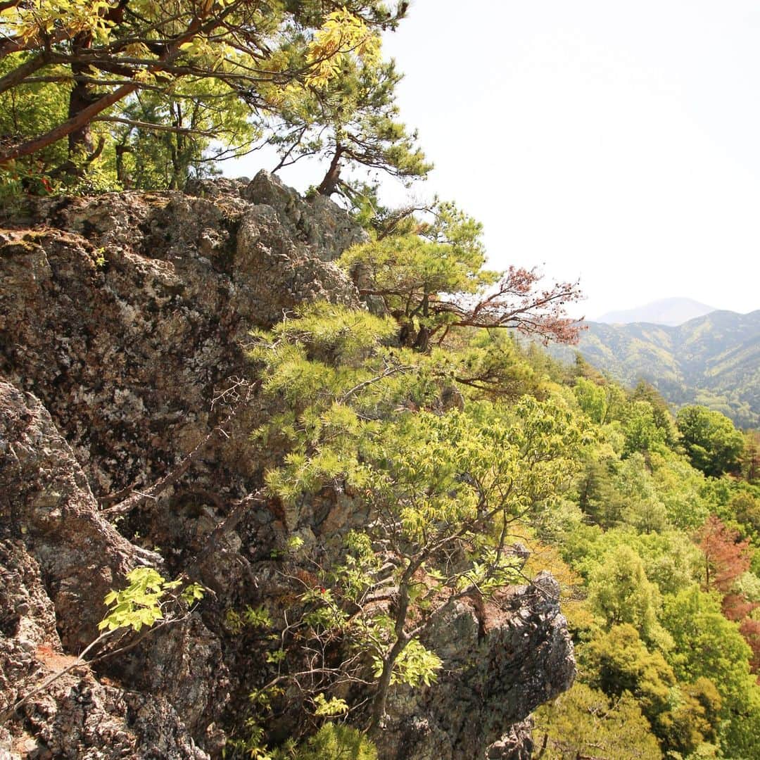 滋賀県長浜市さんのインスタグラム写真 - (滋賀県長浜市Instagram)「4月23日、新緑の八丈岩と眼下に広がる景色。八丈岩には、旧浅井町の大門町から地元の方が整備されたハイキング道があり、比較的気軽に登れます。皆さん、この機会にいかがですか。#長浜市#nagahama#新緑#八丈岩#ハイキング#トレッキング」4月24日 15時57分 - nagahama_city