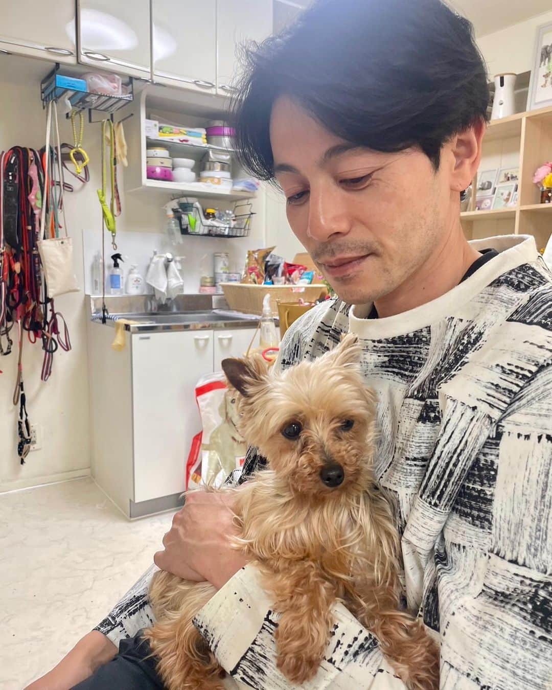 吉沢悠さんのインスタグラム写真 - (吉沢悠Instagram)「． 保護犬・猫のシェルター @rescue_dog_cat に行ったら、こんなかわいい子がいて。 ． 保護犬のスーさん。 ずっと腕の中にいて、愛嬌のあるとてもかわいい子だった。 ． #保護犬 #里親募集中  #レスキュー #besailanimal  #癒し #新しい生活」4月24日 16時04分 - hisashi_yoshizawa