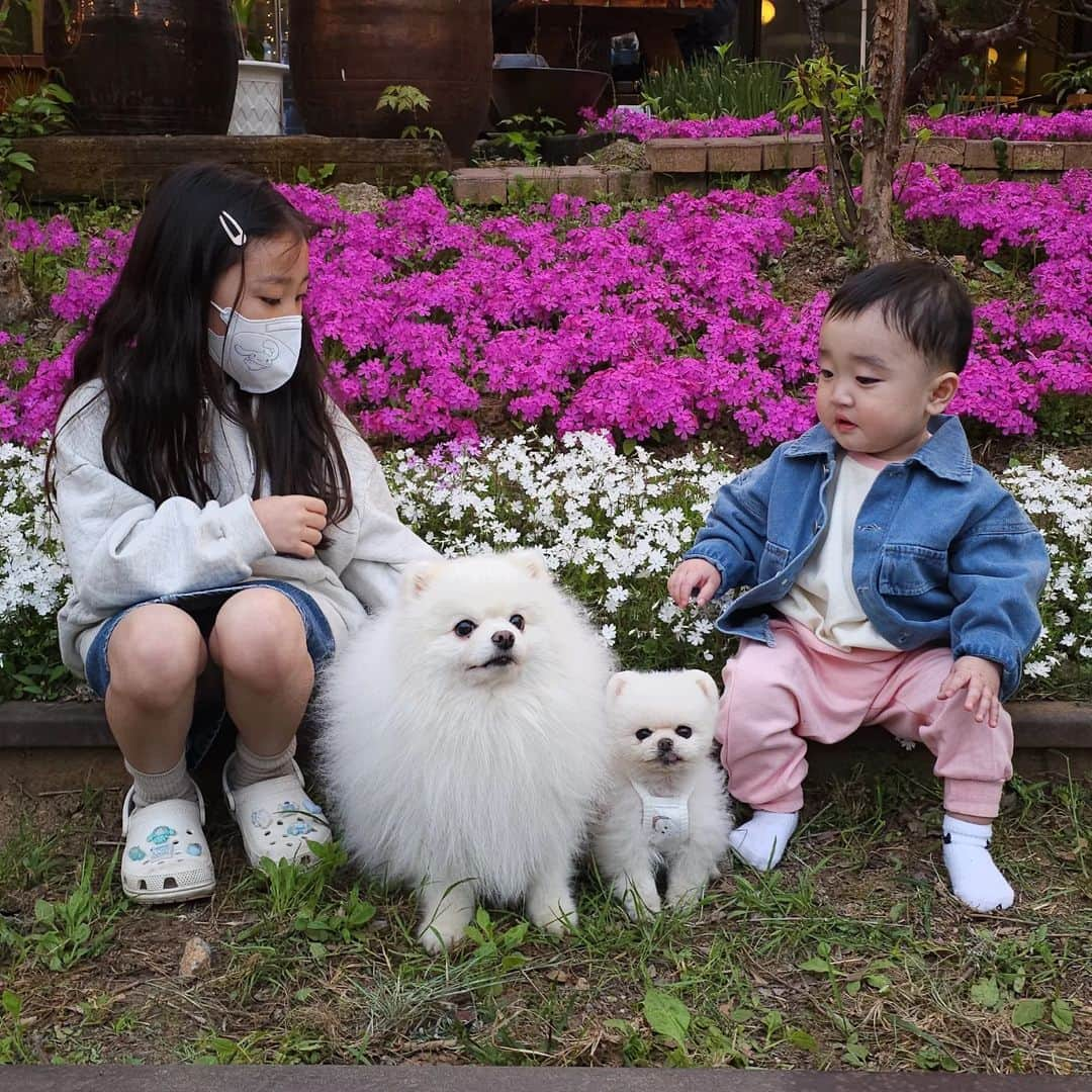 thesoy_yoonsoのインスタグラム：「. 루퐁하유! 사촌동생들과 데이트♡ . 하연이는 유튜브에 자기가 나왔음 좋겠다고 해요 이모가  모자이크 처리하니까 쪼금 속상한 듯ㅠㅠ . 나중에 커서 딴말하지 않도록 공증하러 가자고 했어요ㅎㅎㅎ .」