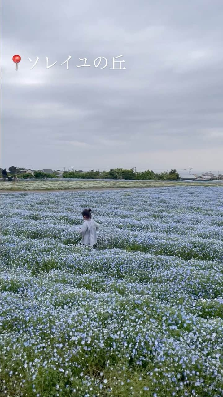 鈴木優美 のインスタグラム