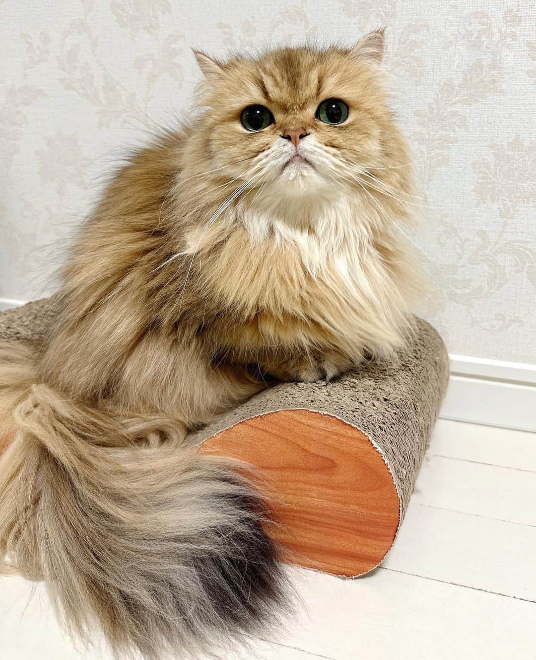 manami☺︎satoのインスタグラム