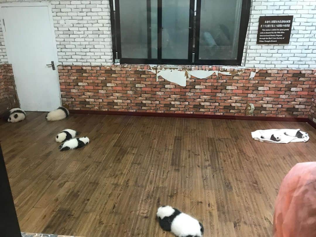 株式会社175のグルメインスタ