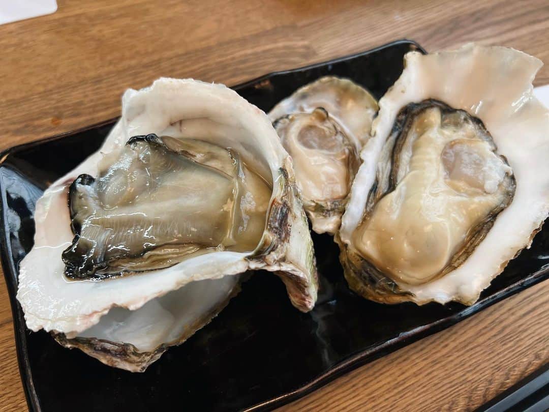 茜さやさんのインスタグラム写真 - (茜さやInstagram)「この世で1番好きで 1番美味しいと思う食べ物🦪  #牡蠣　#生牡蠣　#生牡蠣大好き #生牡蠣最高 #和食　#カキフライ #日本酒　#お疲れ様　#oyster #oysters #oysterlover #washoku #japanesesake」4月24日 18時08分 - saya.akane