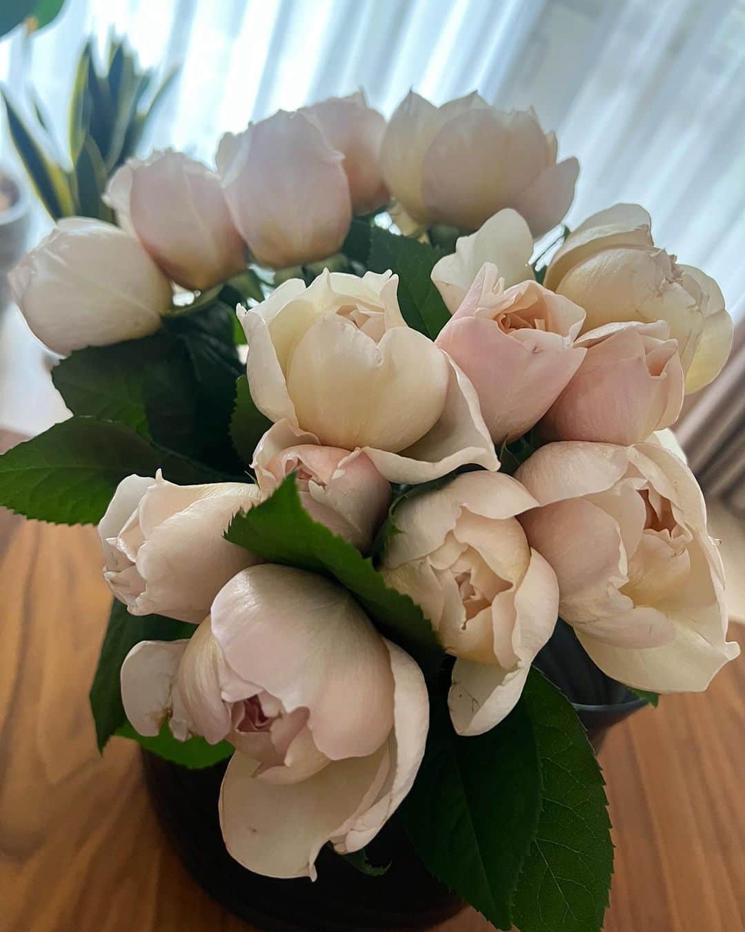 亀恭子のインスタグラム：「ギフトで届いた @rosefarmkeiji  薔薇の花束♡  -ROSE CHARLOTTE PERRIAND- なんとも上品な美しい色合い。 すごく好み♡  心穏やかになる。  母の日の贈り物にも素敵ですね☺︎  #wabra #rose #beautiful #♡」