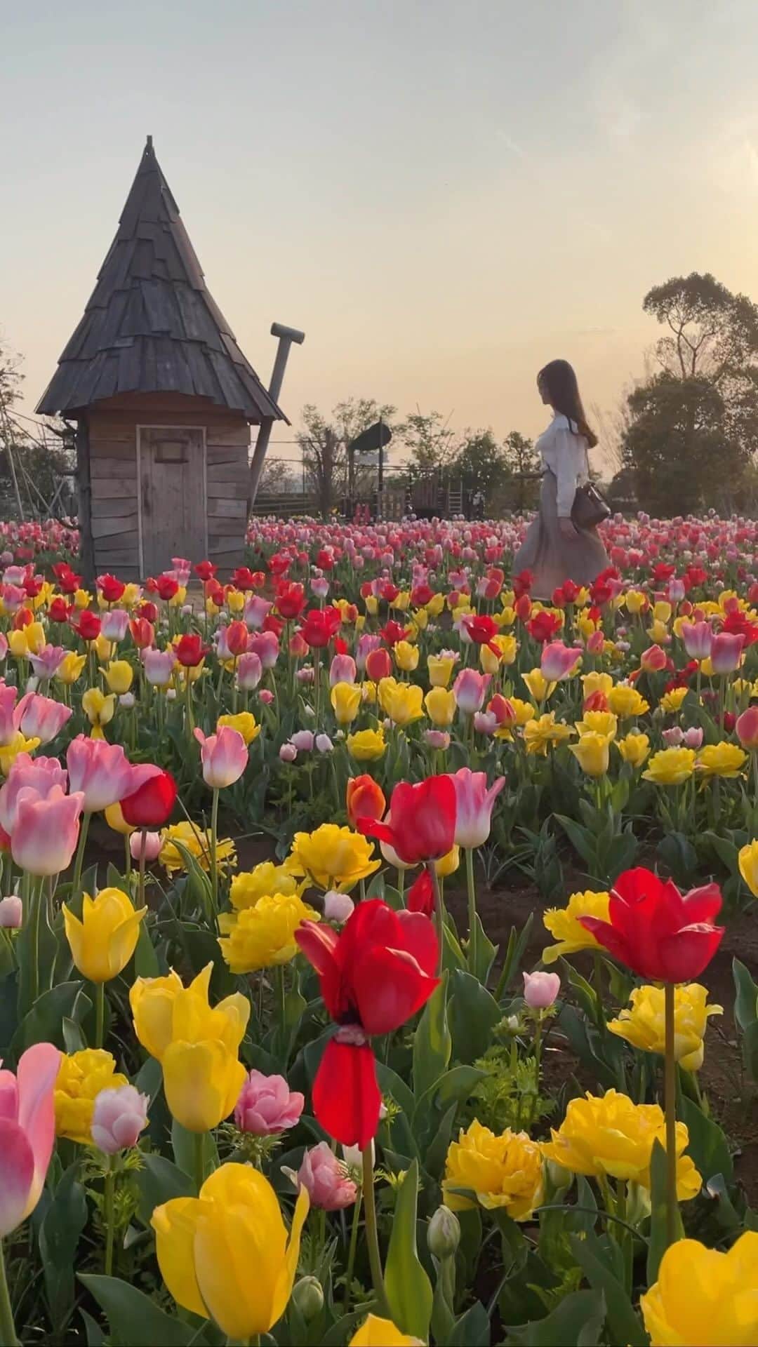 れみぱんのインスタグラム：「今週もほどほどに頑張ろうね🌷 もう少しでGW✨」