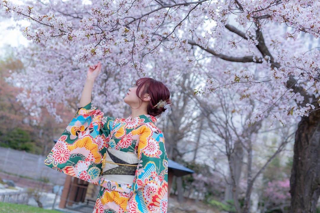 北出彩さんのインスタグラム写真 - (北出彩Instagram)「体調もようやく回復して 久しぶりに大好きな着物が着れて幸せすぎる撮影でした😳 桜も綺麗でした🌸 触ってる風で触ってないのでご安心ください (めちゃくちゃ寒かったです) . . . #sapporo #札幌 #中島公園 #桜 #ポートレート #portrait  #kimono  #着物ヘアアレンジ  #ポトレ女子」4月24日 18時15分 - ktdsai