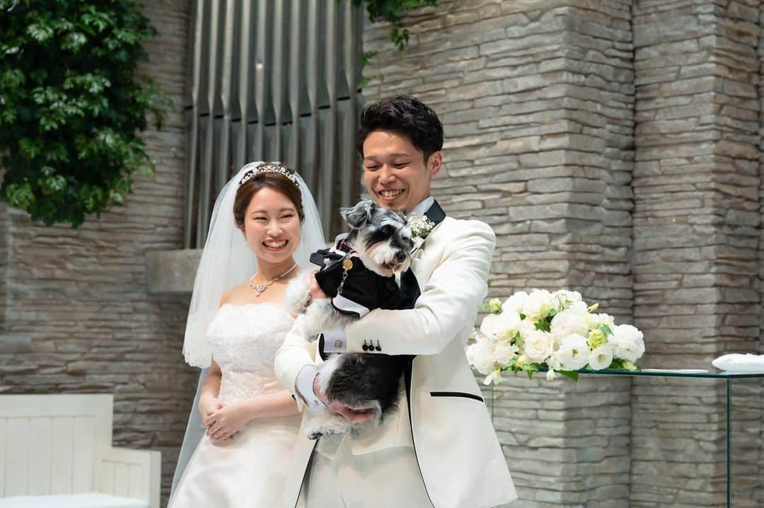 青山フェアリーハウスのインスタグラム：「. . 青山フェアリーハウスでは 愛犬との結婚式も出来ます🐶❤️  挙式当日だけじゃなく 前撮りでもたくさん写真も撮れます✨  . . #青山フェアリーハウス #リングドッグ」