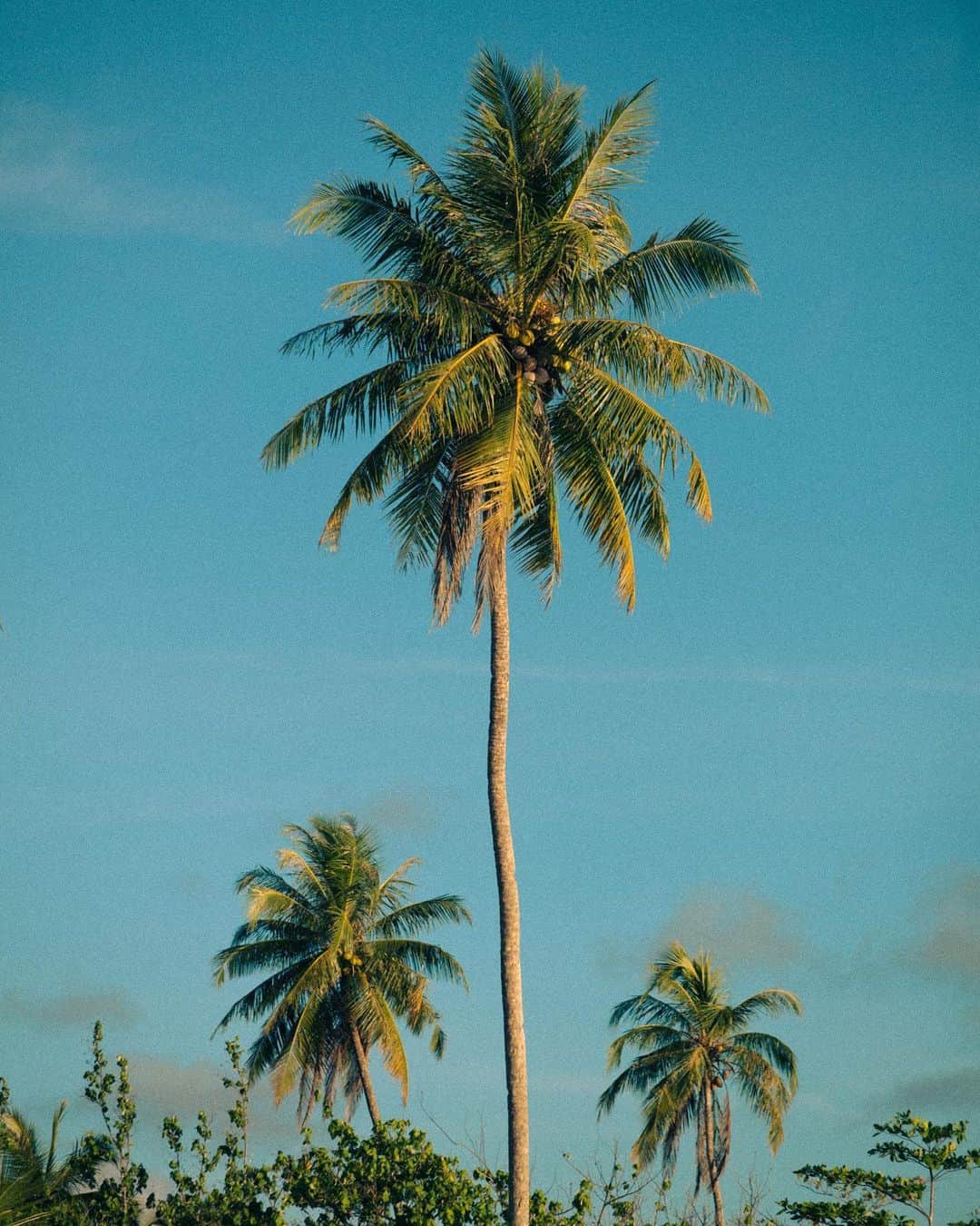 マーロン・テシェイラのインスタグラム：「🌞🌴🐚💦  Collecting moments W/ 🔥 @kaiquephoto ✨🍀💫   —- 🎩…Peace&Light…♻️ —-  #LifeByTheSea #Mentawai #GoodVibesOnly」