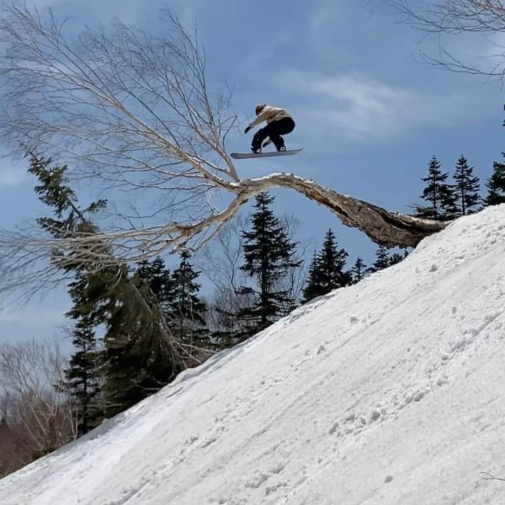 村瀬心椛のインスタグラム：「#snowboarding  tree jib ~ I love this time🤞🏽  @monsterenergy  @oakley @oakleysnowboarding  @murasakisports_official  @tateyamakings @gallium_wax」