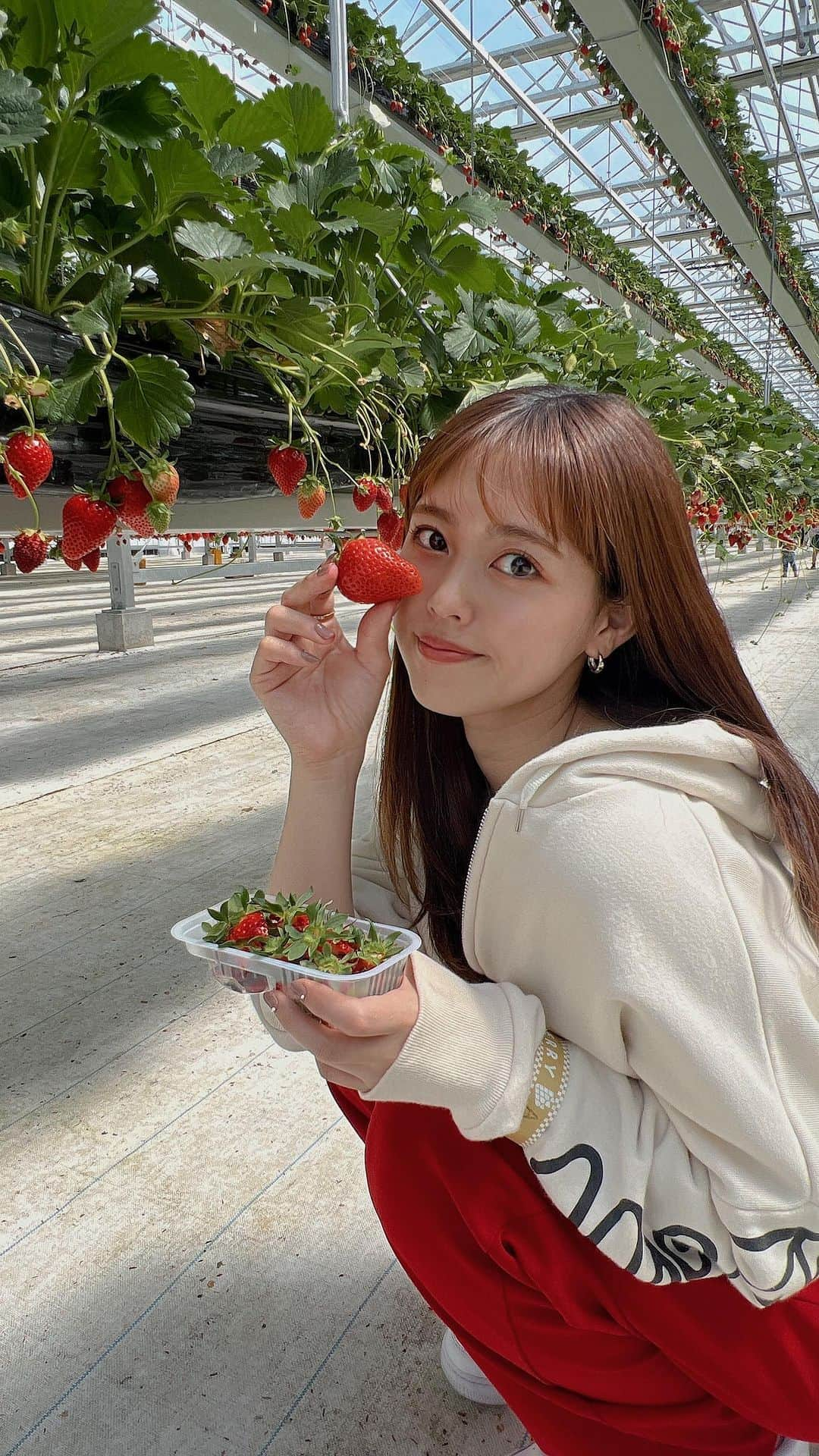 竹内舞のインスタグラム：「食べるのだあいすき♡ いちごたべすぎ♡  #いっぱい食べる君が好き」