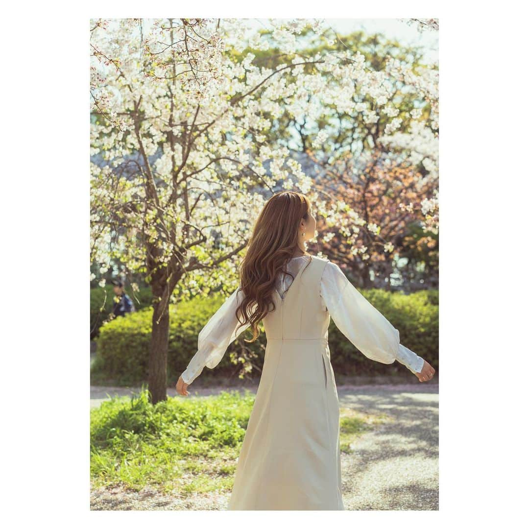 愛聖りささんのインスタグラム写真 - (愛聖りさInstagram)「. 🌸🌸🌸  #撮影 #撮影モデル #벚꽃 #촬영 #모델」4月24日 19時11分 - risa_aise