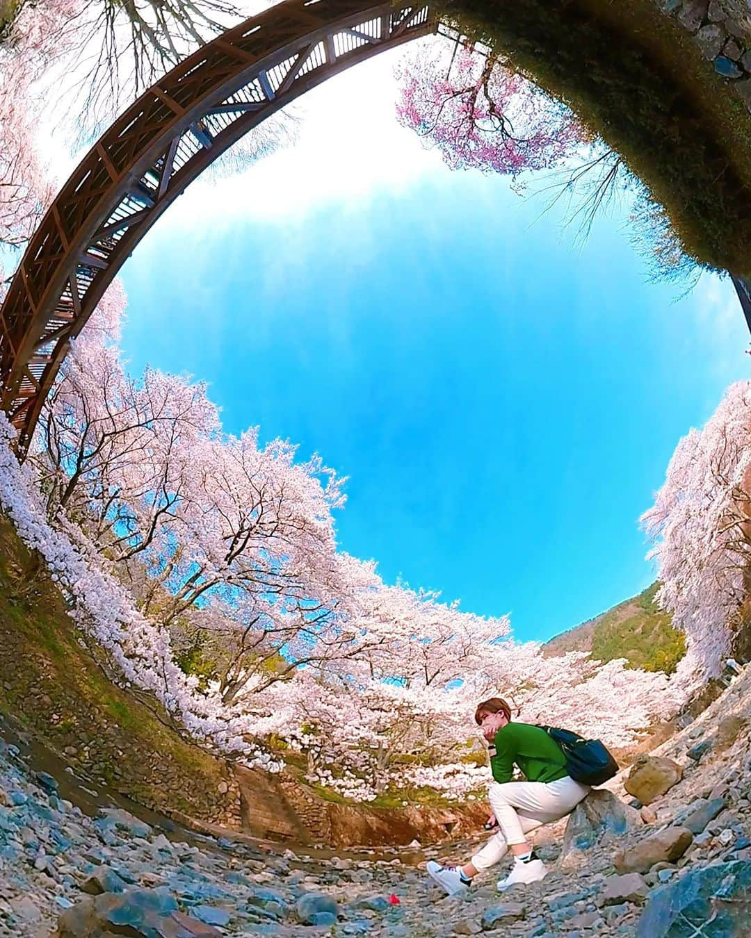 Official RICOH THETAのインスタグラム：「Here is in the river🤣  📸: @churarinko_o  ***************** Please add #theta360 to your photos shot with THETA and post them😊 . . . . . #ricohusa #ricoh #ricohimaging #ricohtheta #lifein360 #360camera #360view #camera #cameratips #cameralover #photographylovers #photographer #photooftheday #photographytips #cameragear #photoediting #editingtips #art #360photography」