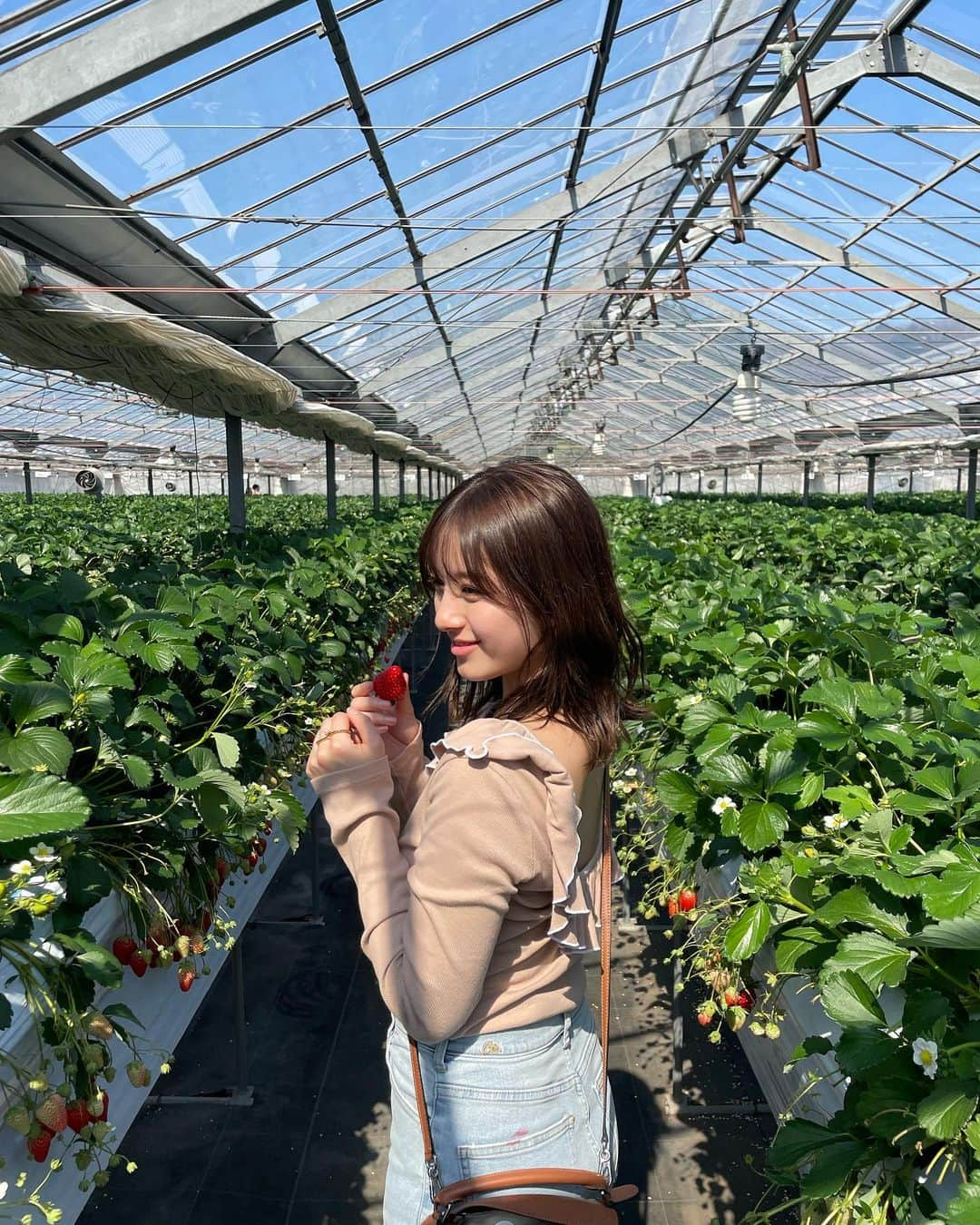 大和田南那さんのインスタグラム写真 - (大和田南那Instagram)「ドライブしていちご狩りへ🍓 いい天気で気持ちが良かった 今年は行けてよかったです👒  #いちご狩り#イチゴ狩り#苺#いちご食べ放題#フォトスポット#デートスポット#関東ドライブ」4月24日 20時11分 - nanaowada_official