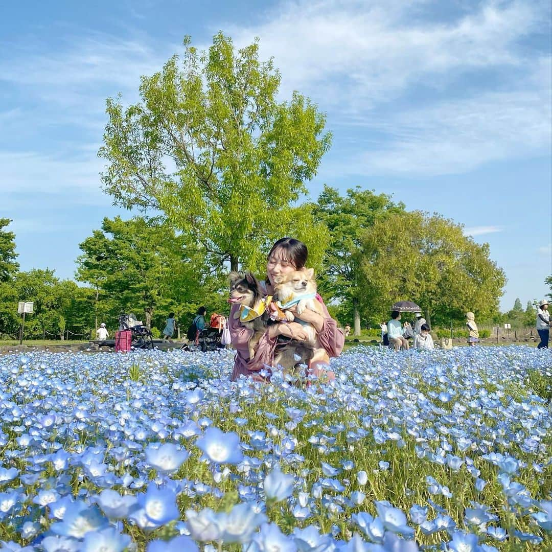 小泉留菜のインスタグラム