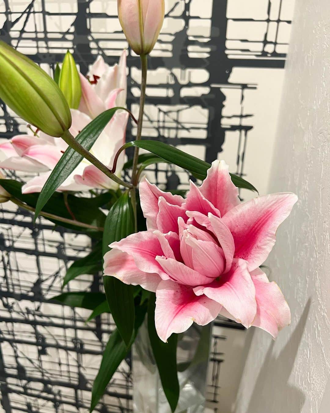 清水玲のインスタグラム：「・ ・  先輩方につづいて☺️ 我が家もどんどん咲いてきてます🌼かわいい〜♡  スクーピーのおふたり、 いつも朝早くからありがとうございます☺️💓 今週もよろしくね！  ・ ・ ・  #宮崎#宮崎放送#MRT#ラジオ #MRTラジオ#スクーピー#百合」