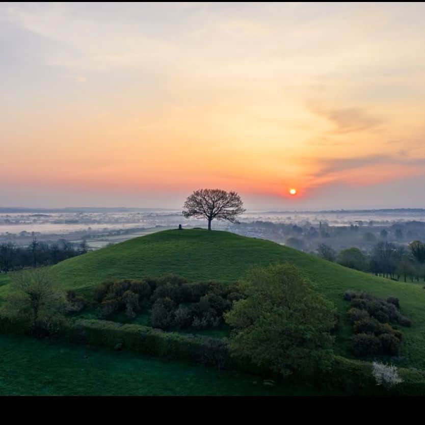 アリスバイテンパリーのインスタグラム：「Middle earth 🌍 Burrow Hill  The Shire - Somerset, England 🍎🍏   So lucky to call this magical place Home.  Come visit us all. @somersetciderbrandy  @phoenixstudiossomerset  @temperleylondon @temperleybridal  @lovefrommake   On Saturdays the farm is open with live music, food and drinks from @theciderbus in the orchards or up the hill above.   Hotels @lordpoulettarms @the_pig_hotels @thenewtinsomerset @crookedswan   Food @the_barrington_boar @pipatthecarriage @thecotleyinn  @holmsomerset @lordpoulettarms   Team happy to help with all - so much to see and do x sophiec@temperleylondon.com」