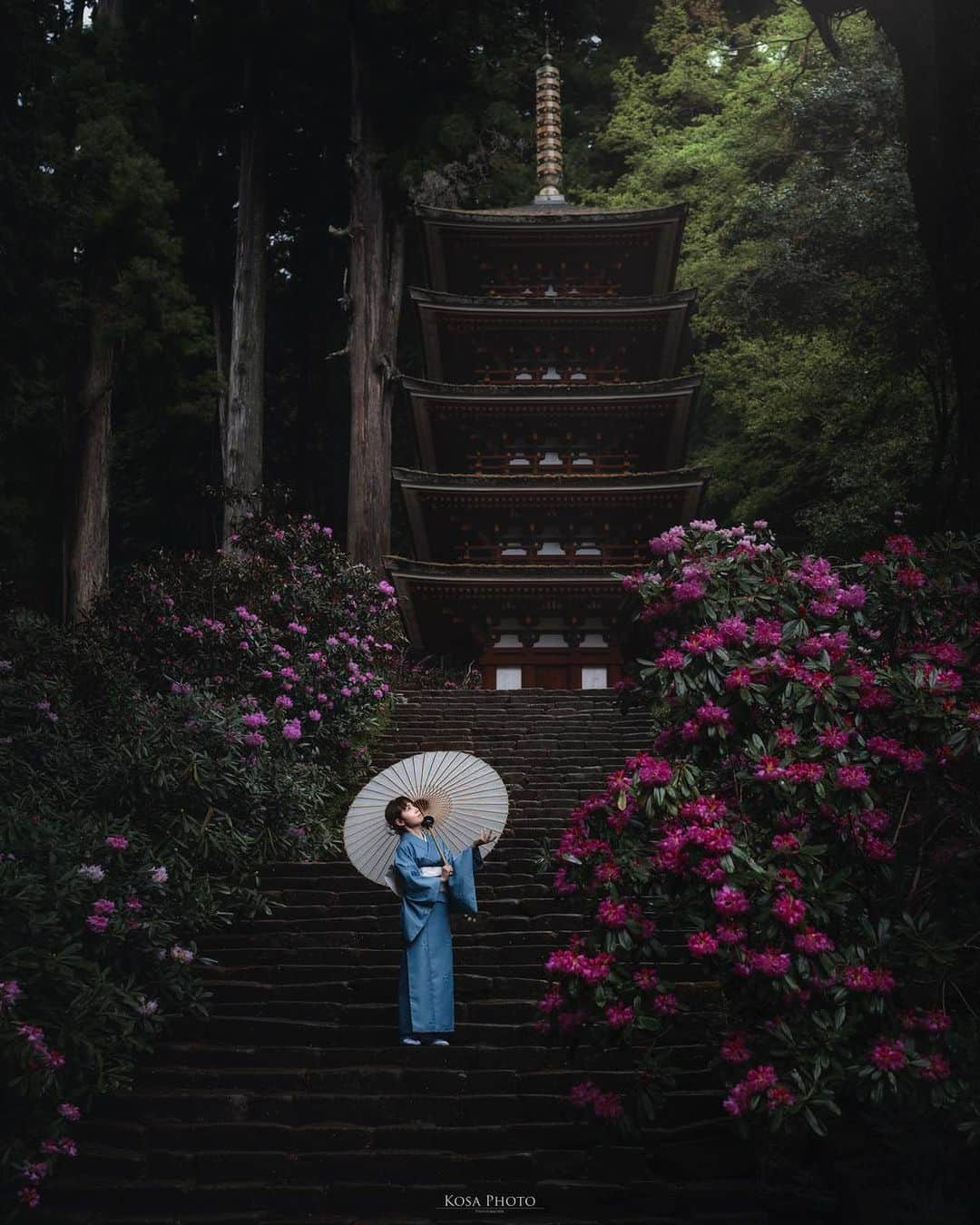 コサさんのインスタグラム写真 - (コサInstagram)「天気が悪かったのもあるんだけど、ほぼ無人で撮り放題でした😆 晴れも良いけど、石楠花は雨でも似合う花ですね〜 . Location:奈良 Nara / Japan🇯🇵 Date:2023年4月 Camera:Z9 /24-70mm f2.8 in frame:@chami_2nd . #石楠花 #室生寺 #nikoncreators #nikoncreators_2023landscape #Japan_Daytime_View #japancityblues #ポトレファン倶楽部 #ポトレ撮影隊 #jp_portrait部 #tokyocameraclub #raw_japan #jgrv_member #team_jp_ #photo_jpn #sorakataphoto #LBJ_KING #lovers_amazing_group #私の瞳がきらめいた瞬間 #special_spot_legend #何気ない瞬間を残したい #colors_portrait_gallery #japangem #explorejpn #japanlives #japan_best_pic #Rox_Captures #colore_de_saison #japan_waphoto #deaf_b_j_ #clv_galerie」4月24日 20時45分 - kosa_photo