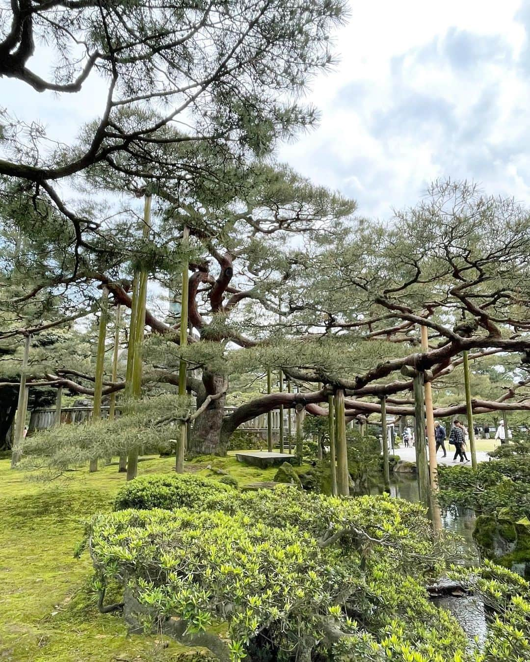 山下奈々美さんのインスタグラム写真 - (山下奈々美Instagram)「石川女子旅　DAY2.3 ２日目は北の方に行って白米千枚田や気多大社でパワーチャージ🫧 3日目は金沢市で王道観光コースを満喫✨ 近江町市場→ひがし茶屋街→兼六園→21世紀美術館に🎨  2泊３日朝から晩までノドグロをずっと食べ続けてました🐟笑 九州とは違うお魚の種類が美味しくて堪能した〜🫶  #石川 #ishikawa #ひがし茶屋街 #兼六園 #能登ミルク #白米千枚田 #21世紀美術館 #気多大社」4月24日 20時48分 - nanami_yamanana