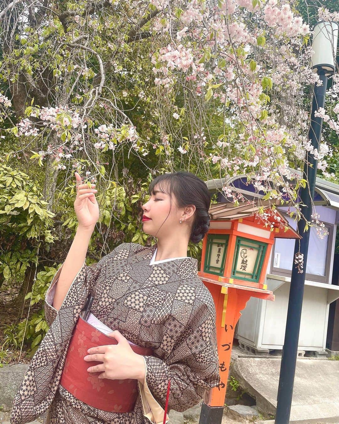 NaMieのインスタグラム：「⁡ ⁡ 桜の花びらは散るのではなく、舞うのです。🌸 ⁡ ⁡  #京都 #kyoto #さくら ⁡ #バーレスク東京 #バーレスクtokyo #partyontokyo #パリオン #partyon #パーティーオン #バーレスク #バーレスクダンサー #ショーダンサー #ショークラブ #ショー #バーレスクヤバイ #ダンサー #ダンサー募集 #club #show #六本木 #dance #高収入バイト #高収入 #高収入求人 #パリオンは史上最強の遊び場 #エンタメ活動を止めない」