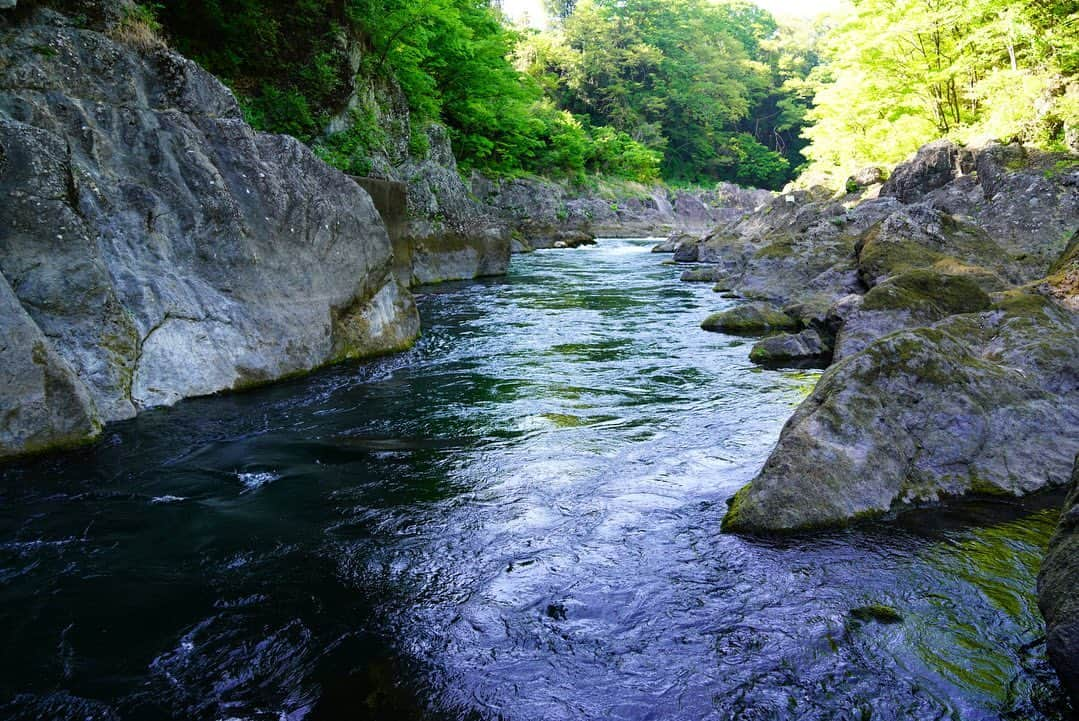 いぶくろ聖志さんのインスタグラム写真 - (いぶくろ聖志Instagram)「流れるまま  #camera #japan #photography  #カメラ　#写真　#日本」4月24日 21時07分 - b.smpl