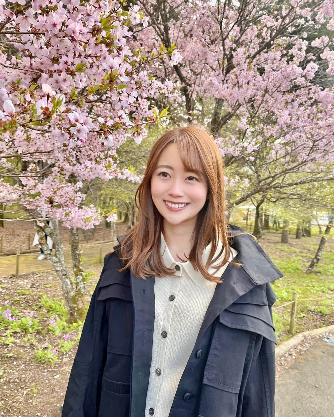 澤井志帆のインスタグラム：「.2023.4.24 ⁡ きのう、桜を発見しました🌸 4月下旬なのにびっくり！ ⁡ 最近寒い日が続いていますね🥺 体調崩さないようにお気をつけください🌱 ⁡ #DaiichiTV#アナウンサー#山梨#山梨観光#富士本栖湖リゾート」