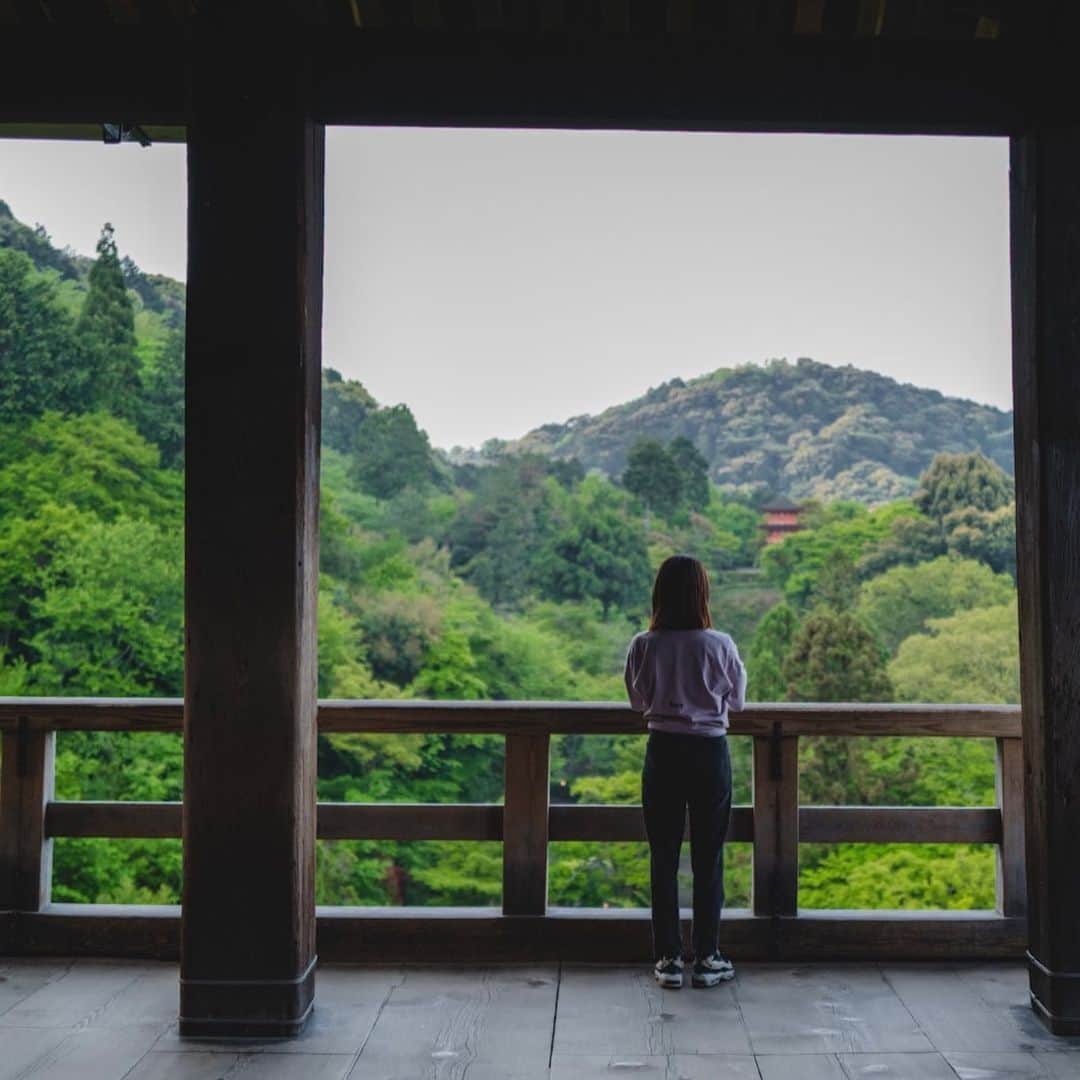 山口淳一さんのインスタグラム写真 - (山口淳一Instagram)「My most beloved season of fresh greenery has arrived. 5時に起きて、オープン前に早朝の清水寺で新緑を堪能。 6時の開門と同時に入って、鳥の囀りを聞きながらの散歩がおすすめです。 そしてその後hereで休憩するのもおすすめです。  #japan #kyoto #kiyomizu #kiyomizudera #kyototrip #kyototravel #freshgreens #日本 #京都 #清水寺 #新緑」4月24日 21時19分 - junichi_yamaguchi