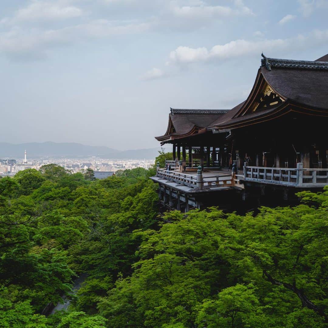 山口淳一のインスタグラム：「My most beloved season of fresh greenery has arrived. 5時に起きて、オープン前に早朝の清水寺で新緑を堪能。 6時の開門と同時に入って、鳥の囀りを聞きながらの散歩がおすすめです。 そしてその後hereで休憩するのもおすすめです。  #japan #kyoto #kiyomizu #kiyomizudera #kyototrip #kyototravel #freshgreens #日本 #京都 #清水寺 #新緑」